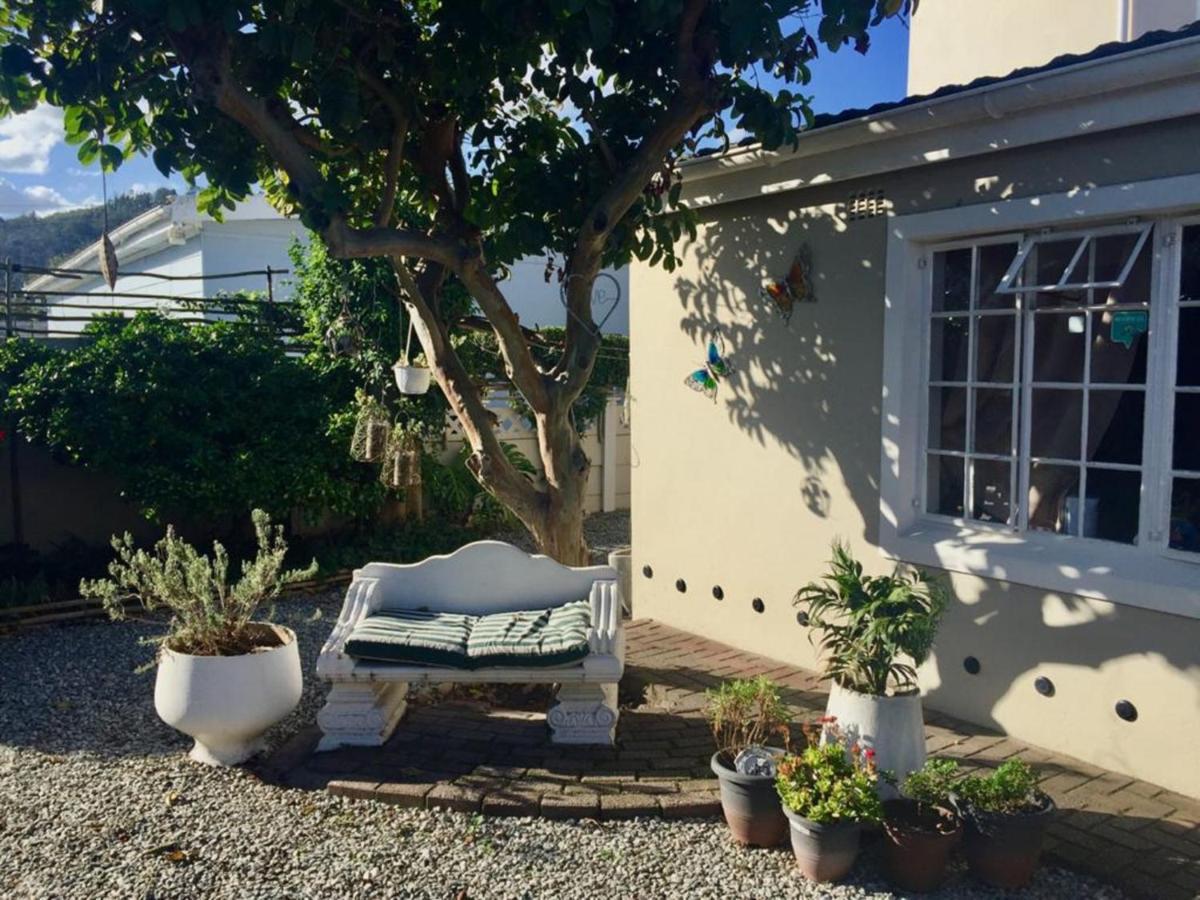 Jembjo'S Knysna Lodge & Backpackers Esterno foto